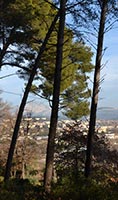 viaduc cezanne