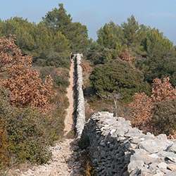 mur de la peste