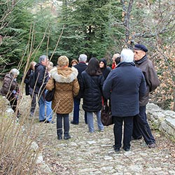 dimanche forcalquier visite guidee