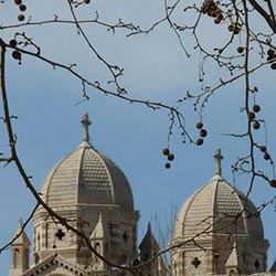 cathedrale major marseille